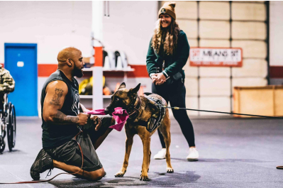 Malinois dog biting training for protection dog training