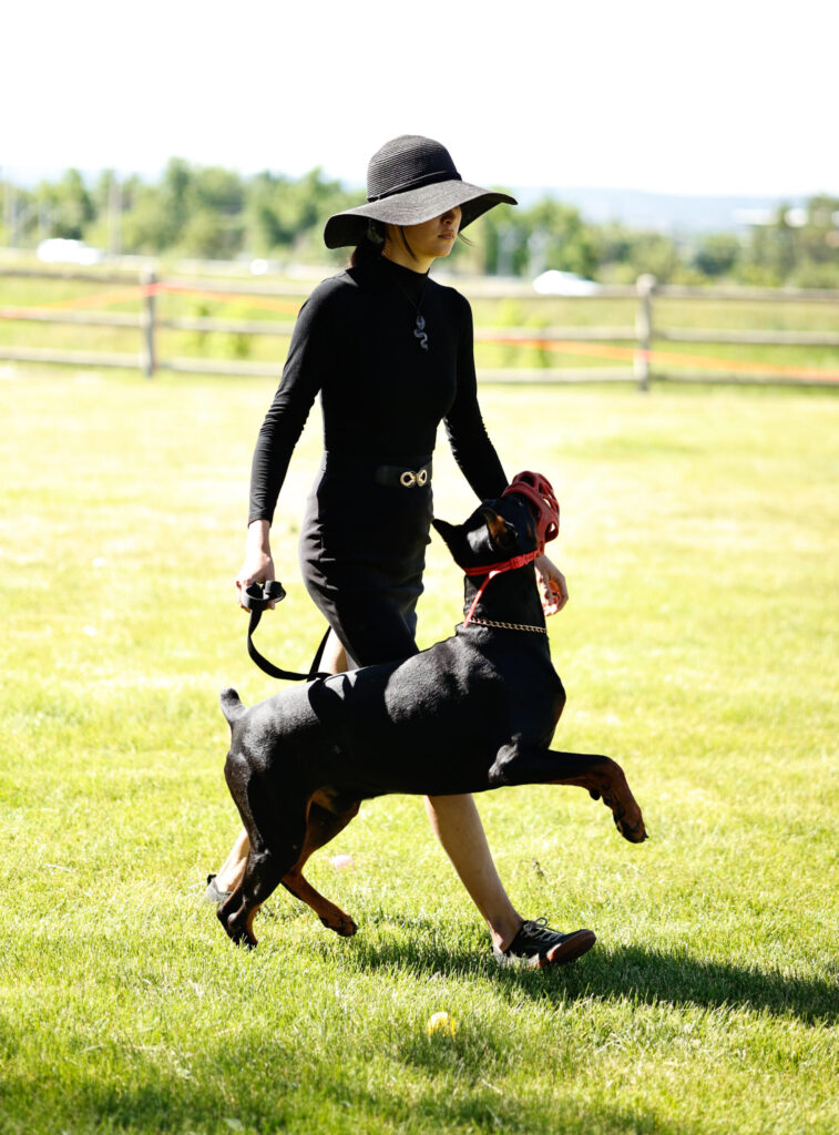 Austin dog training protection dog competition mara soo