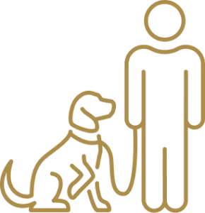 AUSTIN AND BOULDER dog training program in home with lessons and homework