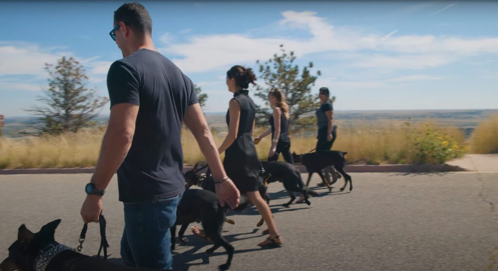 dog trainer pack walk with expert certified dog trainers. Get easy pricing with affirm payment plans