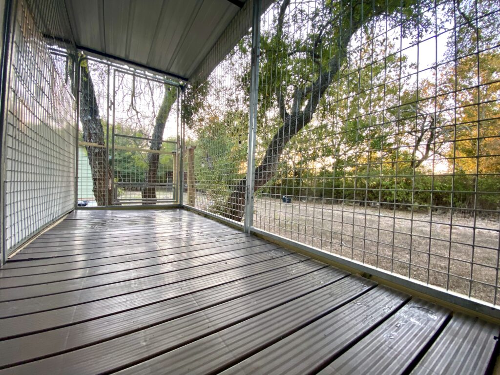 Boarding for reactive, intact, and non neutered dogs in Austin TX