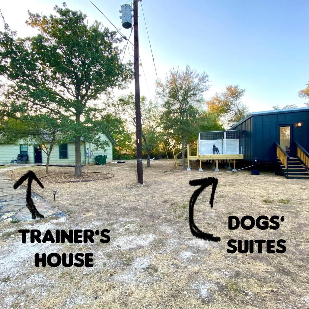 Dog boarding by dog trainers and behavorists