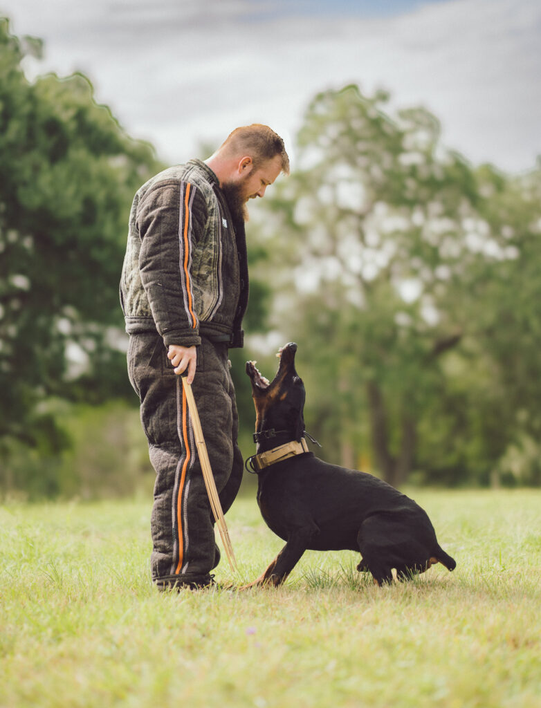 Protection dog training with affirm payment plans