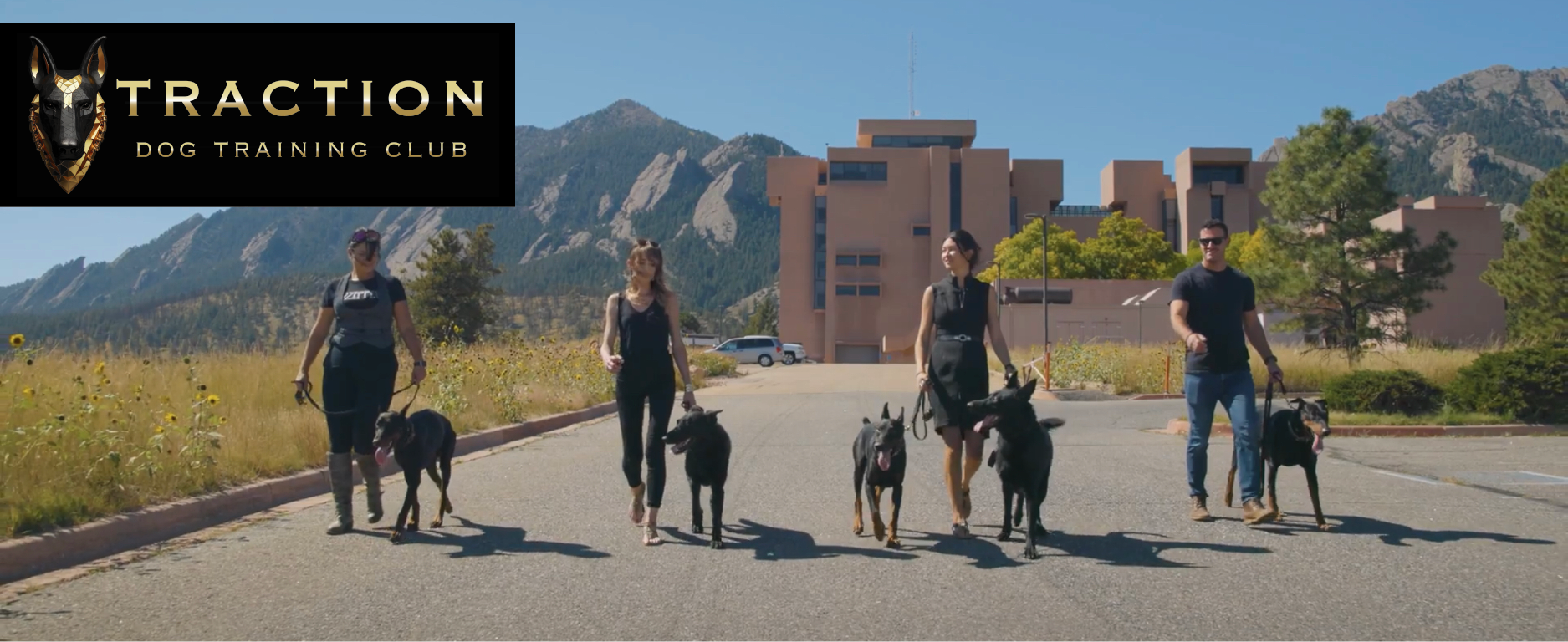 Board and train and puppy training team. Schedule a consult with them