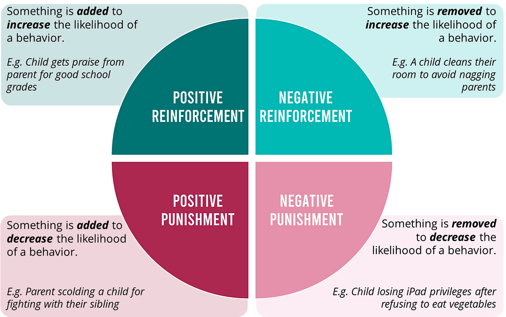 balanced dog training methods explained