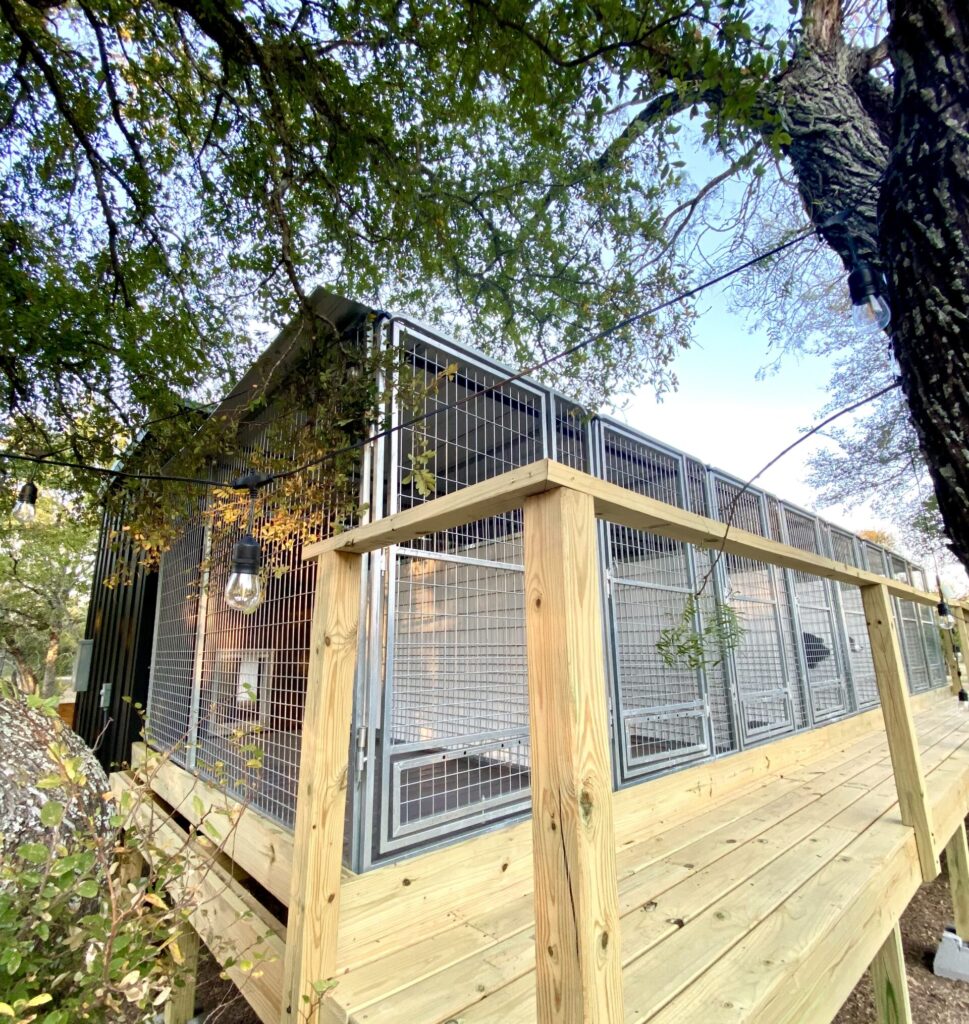 Aggressive dog boarding facility in austin tx