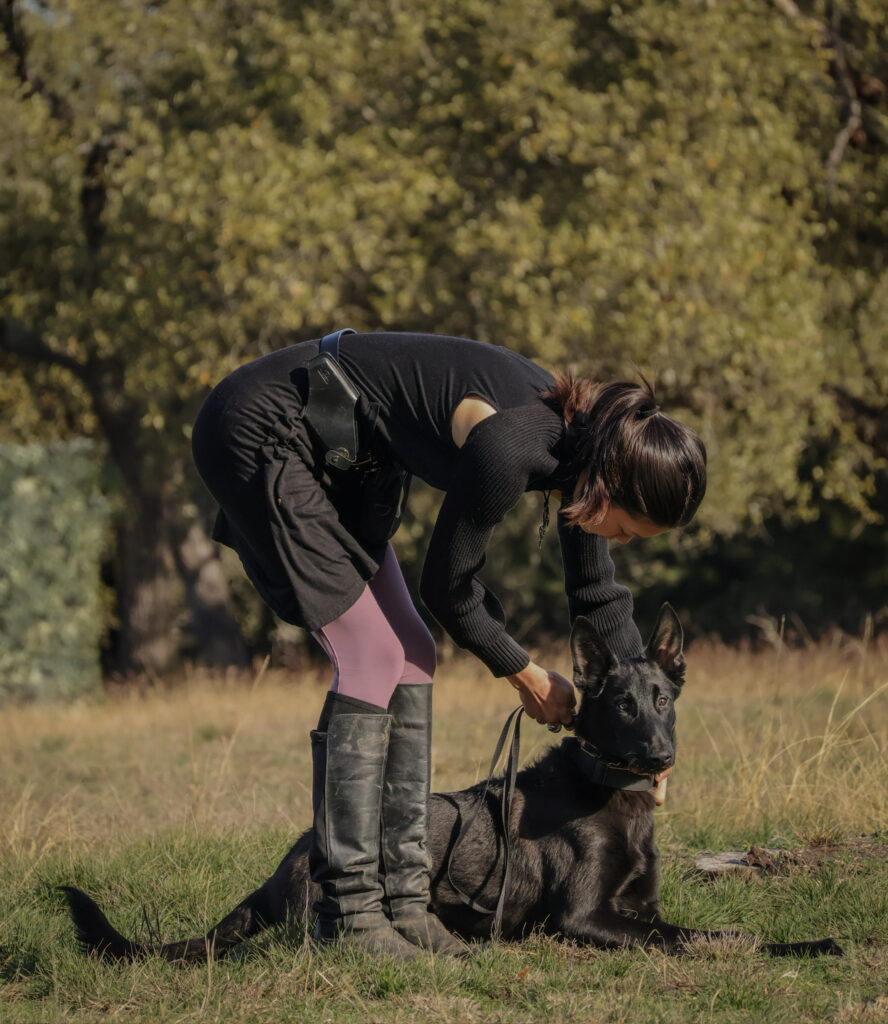 Contact us to start your in home dog training or boarding journey