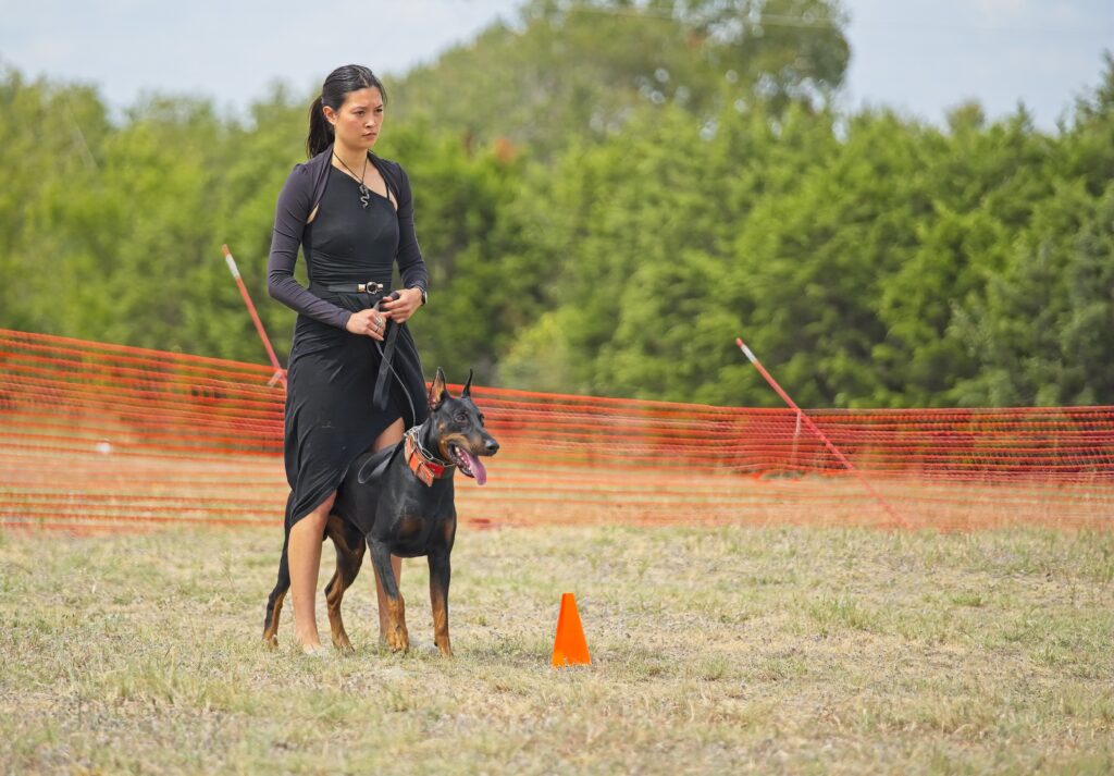 Behavior modification dog training programs with reviews and certified trainers