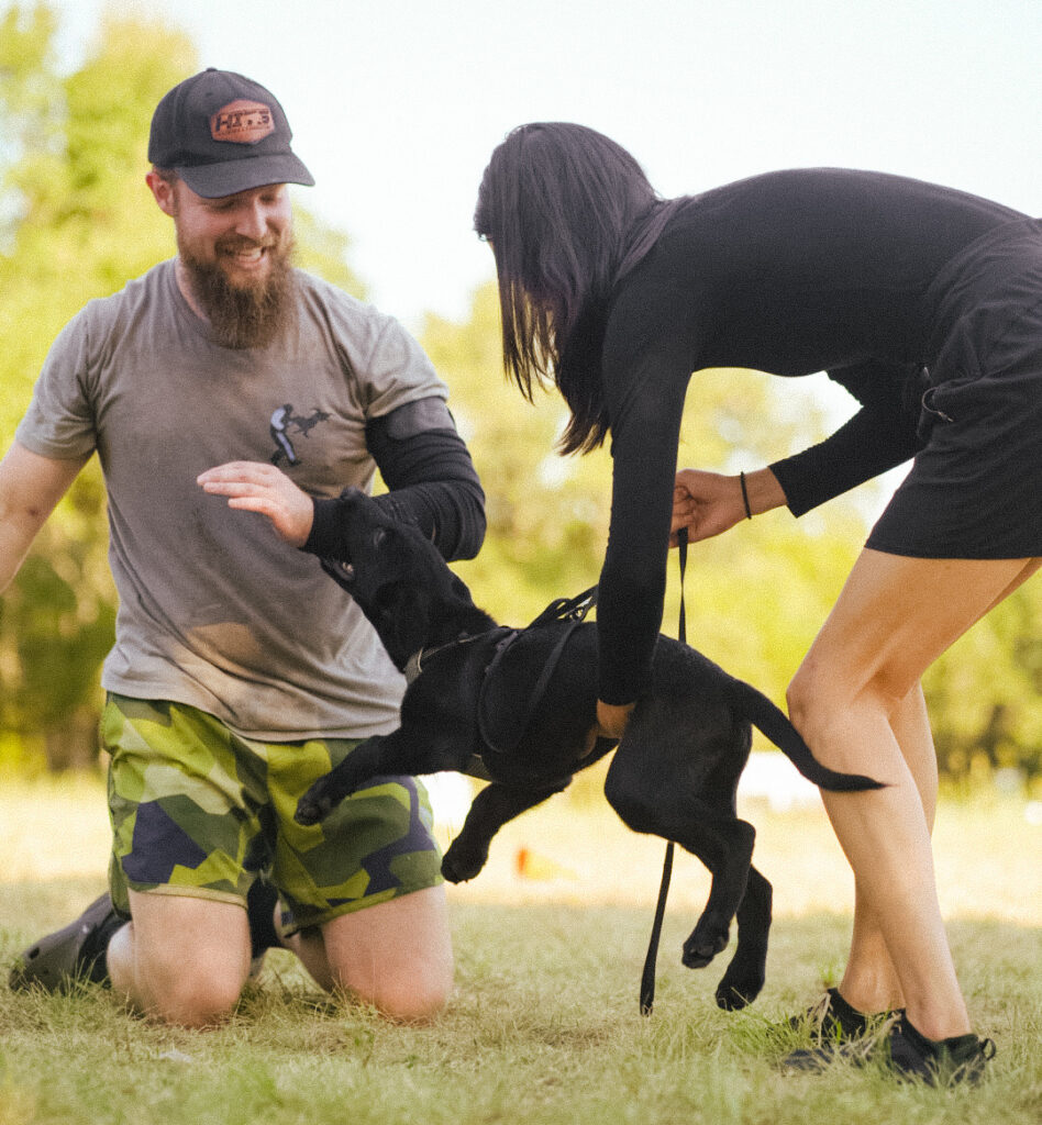 Malinois Puppy biting man