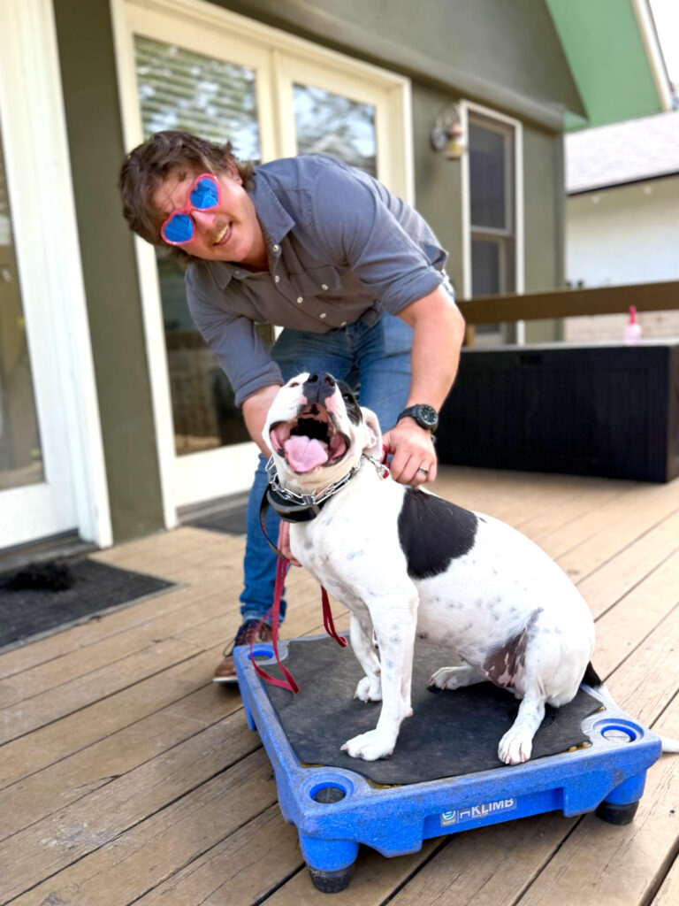 private dog training austin dalton krisik